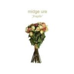 MIDGE URE fragile