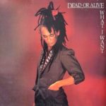 DEAD OR ALIVE What I Want 12