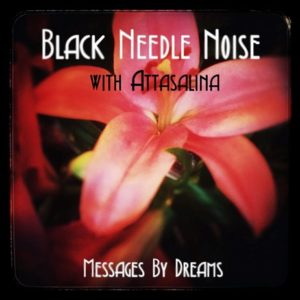 Black Needle Noise 'Messages By Dreams'