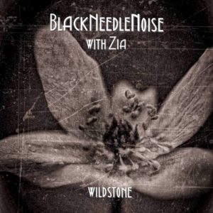 Black Needle Noise 'Wildstone'