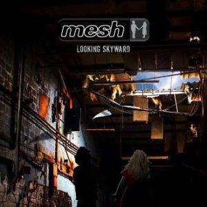 MESH-Looking-Skyward